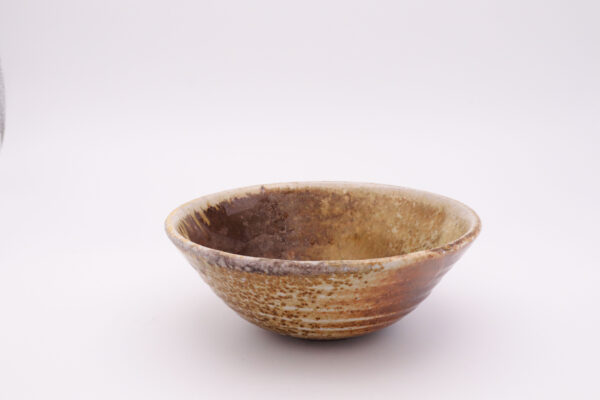 Cereal Bowl V