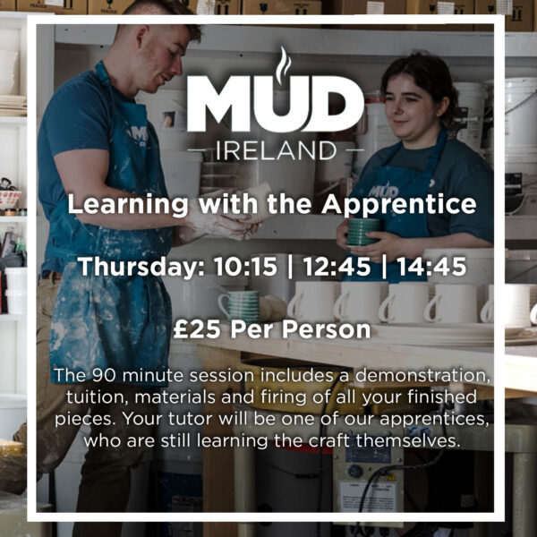 Learning with the Apprentice